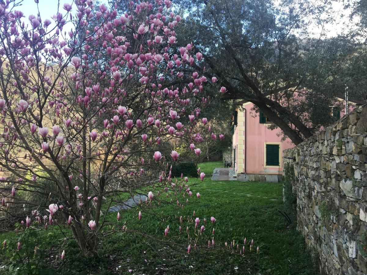 Villa Olivari - Apt La Salvia San Rocco al Porto Exterior foto
